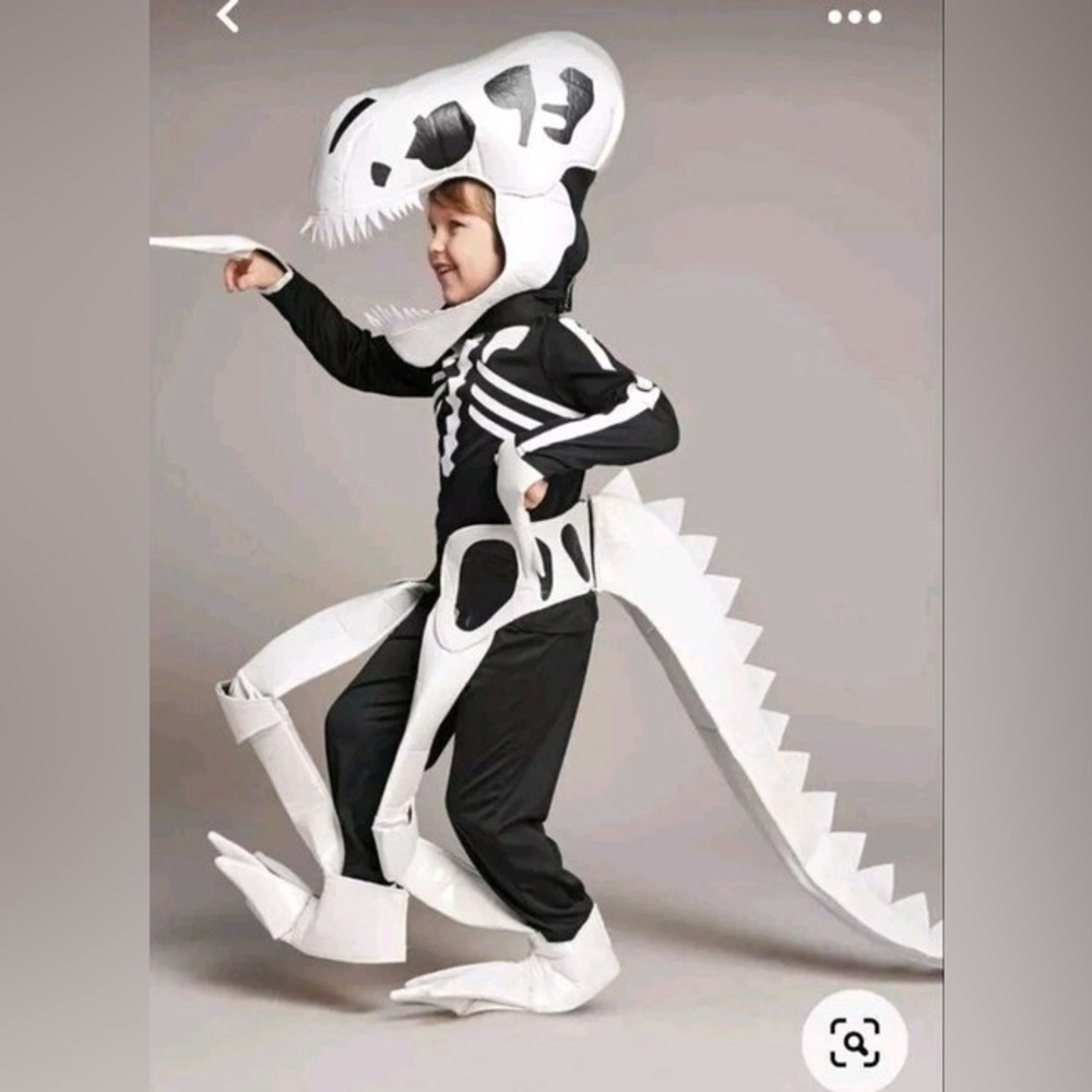 Chasing Fireflies Kids Dinosaur Skeleton Costume - Black and White